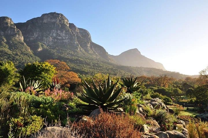 Table Mountain, Bo-Kaap & Kirstenbosch: Private Cape Town Day Tour photo 4
