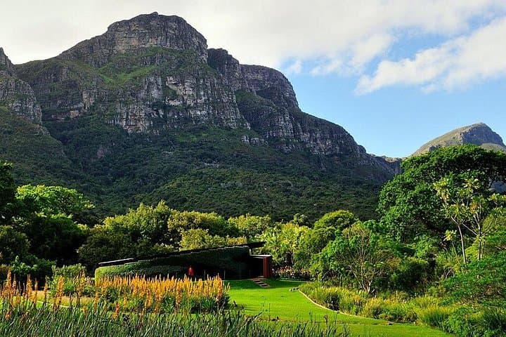 Table Mountain, Bo-Kaap & Kirstenbosch: Private Cape Town Day Tour photo 5