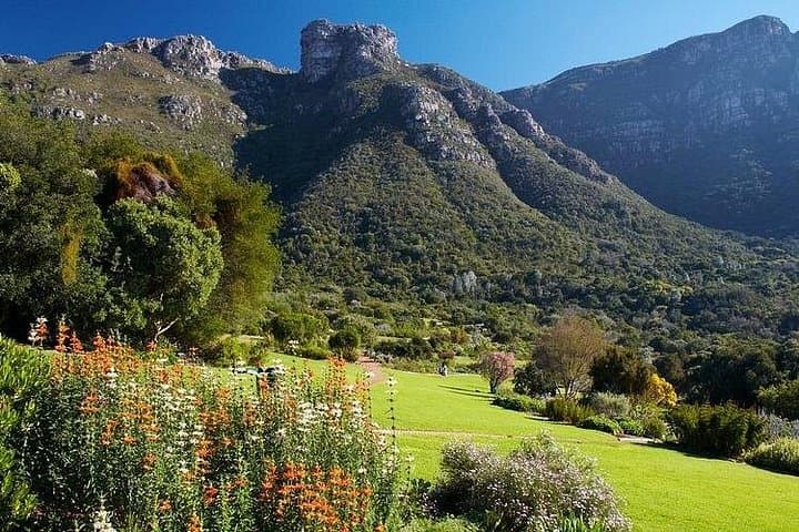 Table Mountain, Bo-Kaap & Kirstenbosch: Private Cape Town Day Tour photo 6
