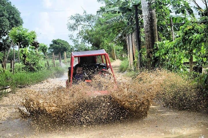Thrill Meets Flavor in Punta Cana: Buggy Off-Roading Adventure photo 5