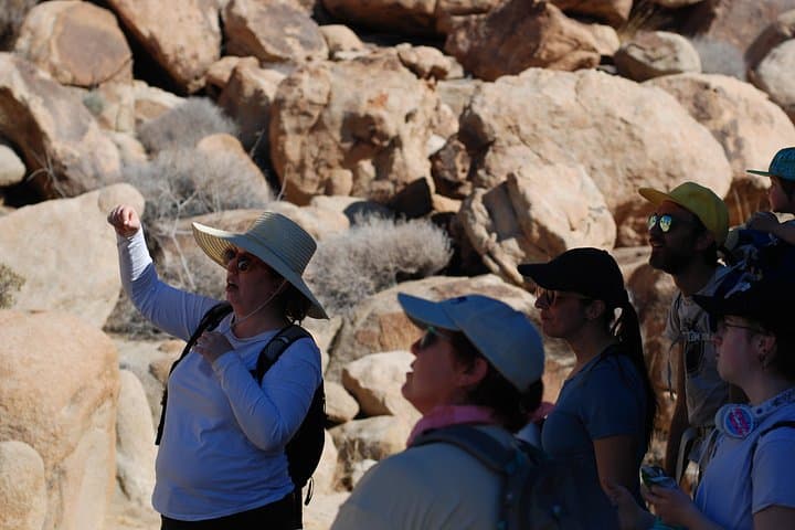 Joshua Tree Natural Wonders Walk — Plants, Wildlife & Desert Geology photo 1