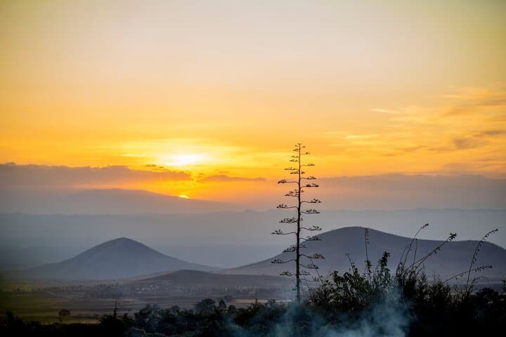 Tarangire National Park Day Safari: Private Game Drive from Arusha photo 5