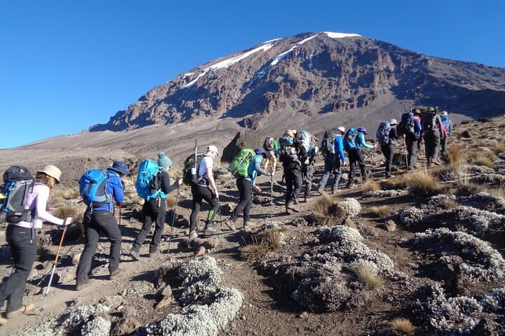 5-Day Kilimanjaro Trek via Marangu Route — Hut-to-Hut Summit on Uhuru Peak photo 4