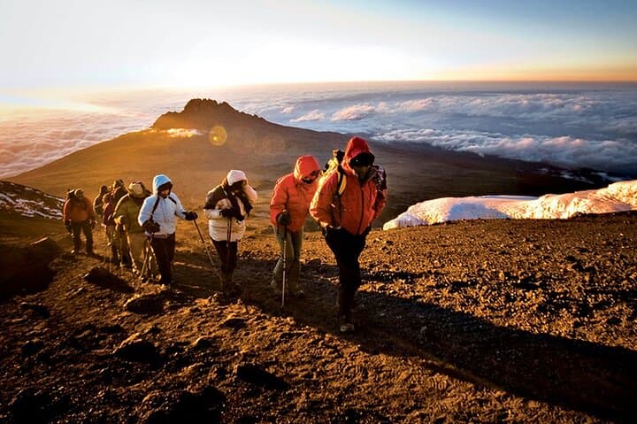 7-Day Lemosho Route Kilimanjaro Summit: Private Guided Trek to Uhuru Peak photo 4