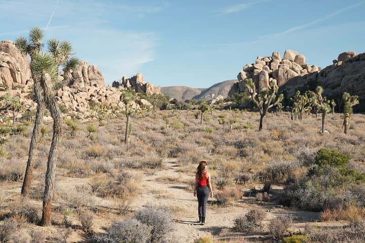 Joshua Tree Private Day Trip from Los Angeles – Hidden Valley, Skull Rock & Keys View