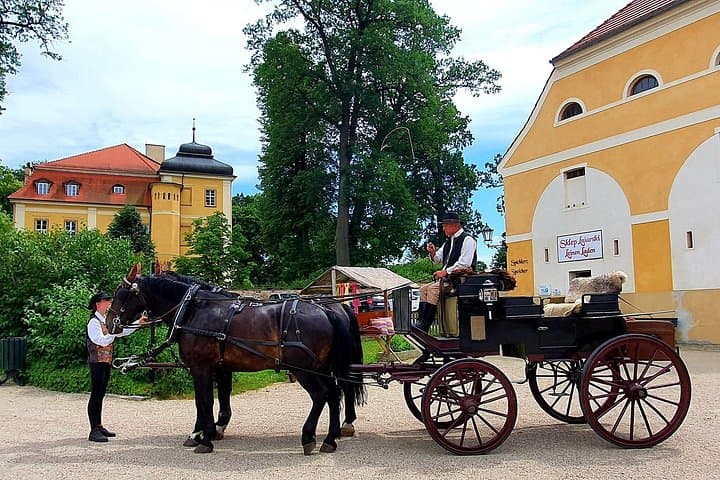 Slow Carriage Tour Through Silesia: Studniska Country Estate & Castles by Horse