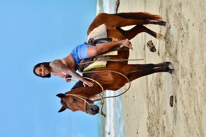 Macao Beach Horseback Riding: Private Coastal Ride from Punta Cana photo 6
