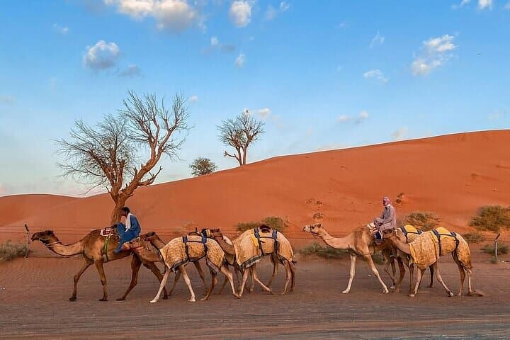 Dubai City Tour and Desert Safari Combo — Full-Day City Sights and Dune Adventure photo 4