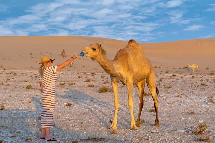 Dubai City Tour and Desert Safari Combo — Full-Day City Sights and Dune Adventure photo 5
