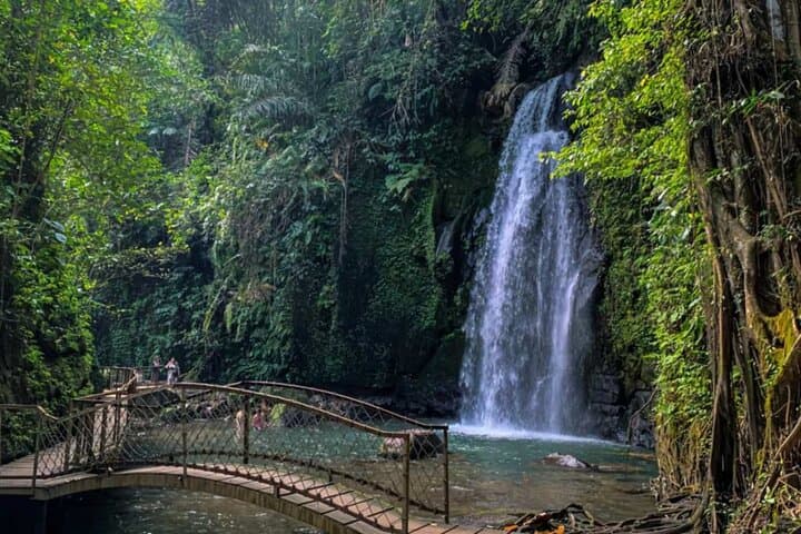 Ubud Private Waterfalls and Tirta Empul Temple Tour — Tegalalang & Tegenungan Day Trip