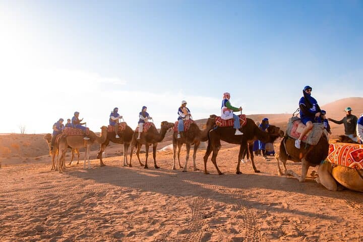 Agafay Desert Camel Ride & Sunset Dinner from Marrakech