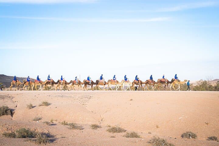 Agafay Desert Camel Ride & Sunset Dinner from Marrakech photo 3