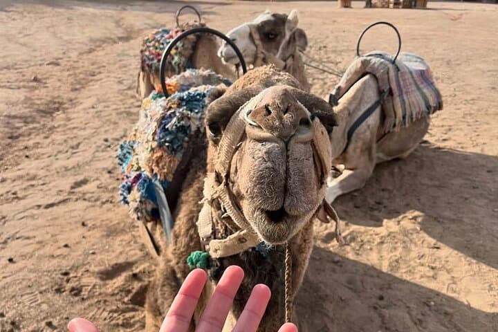 Agafay Desert Camel Ride and Traditional Meal Near Marrakech photo 5