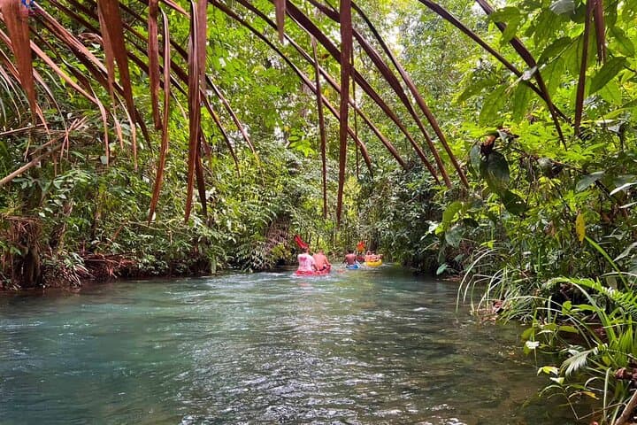 Paddling Ao Thalane: Mangrove Sea Kayaking Adventure in Krabi photo 2