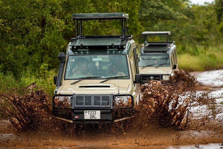Arusha National Park Game Drive and Walking Tour — Private Day Trip photo 5