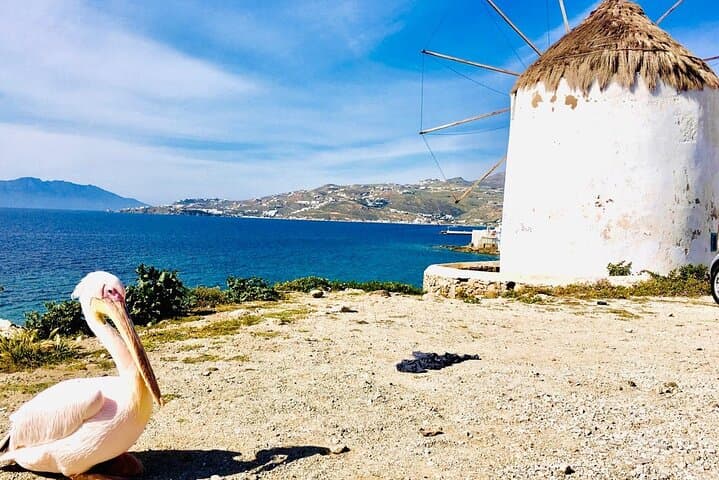 Half-Day Private Mykonos Island Tour: Windmills, Little Venice & Ano Mera photo 1