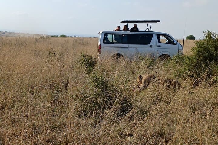 Half-Day Nairobi National Park Safari: Lions, Rhinos & City-Skyline Views photo 5