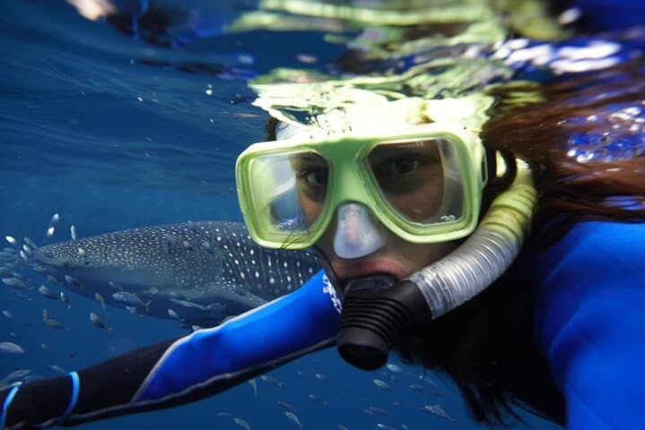 Caño Island Snorkeling Day Trip from Manuel Antonio: What to Expect