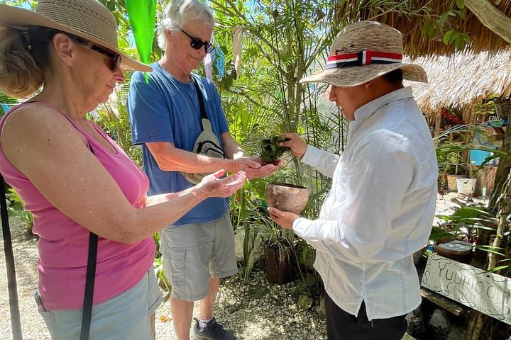 Private Tour: Coba Ruins, Cenote Cavern & Mayan Village Lunch from Tulum photo 4