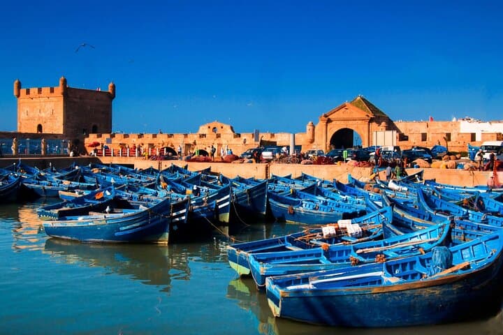 Essaouira Day Trip from Marrakech: Coastal Medinas, Argan Goats & Skala Kasbah photo 4