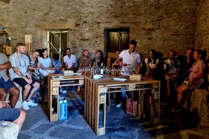 Douro Valley Guided Tour of 3 Vineyards with Lunch from Porto