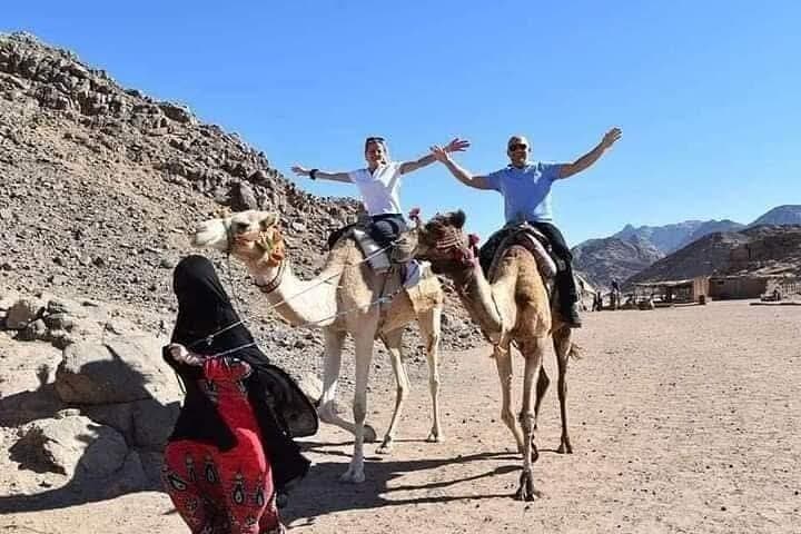 Hurghada Desert Super Safari: ATVs, Spider Buggies & Bedouin Nights photo 3