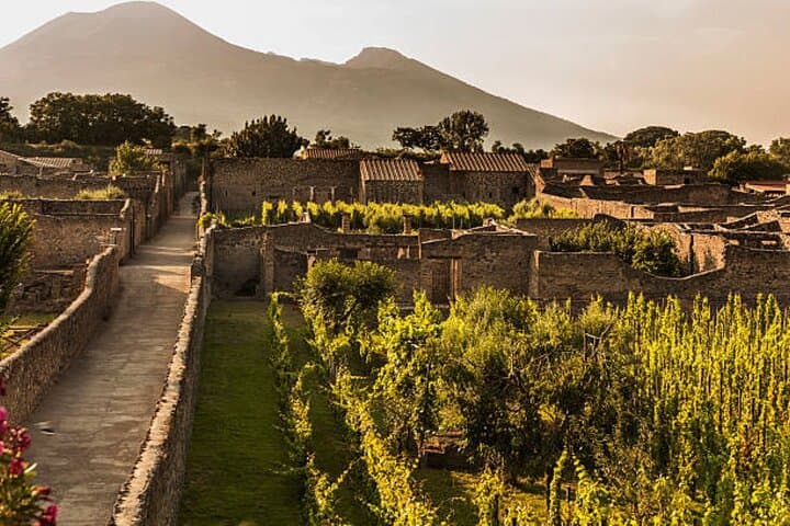 Pompeii Excavations and Vesuvius Vineyard Wine Tasting Private Tour photo 5