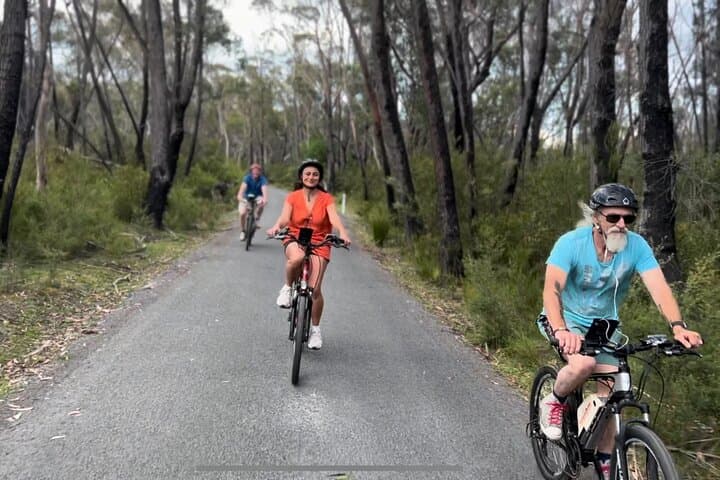Self-Guided E-Bike Tour of Bundanoon: Morton National Park Trails & Glow Worm Glen photo 3