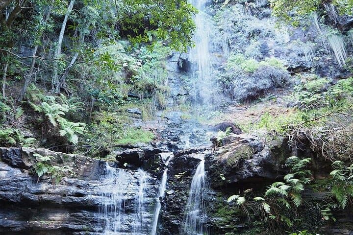 Self-Guided E-Bike Tour of Bundanoon: Morton National Park Trails & Glow Worm Glen photo 5
