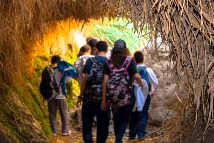 Masada Sunrise, Ein Gedi & Dead Sea Day Tour from Jerusalem — Hike, History & Float photo 3