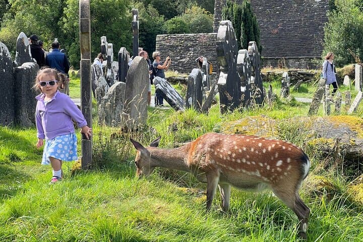 Day Trip to Glendalough and the Wicklow Mountains: Lakes, Monasteries & Scenic Passes photo 3