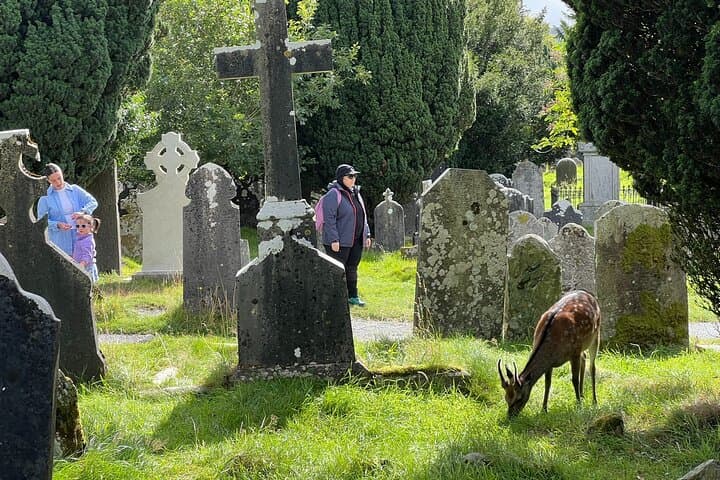 Day Trip to Glendalough and the Wicklow Mountains: Lakes, Monasteries & Scenic Passes photo 5