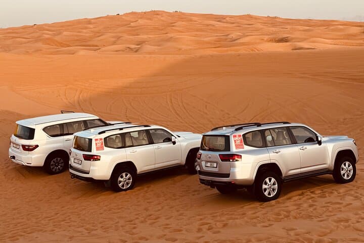 Morning Red Dune Safari in Dubai: Camel, Falcon & Sandboarding at Al Lablab photo 4
