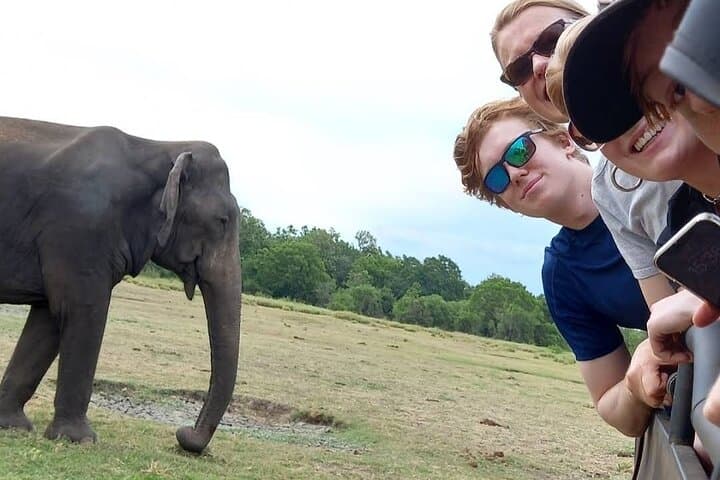 Udawalawe Safari Adventure: Explore Sri Lanka’s Elephant Plains photo 2