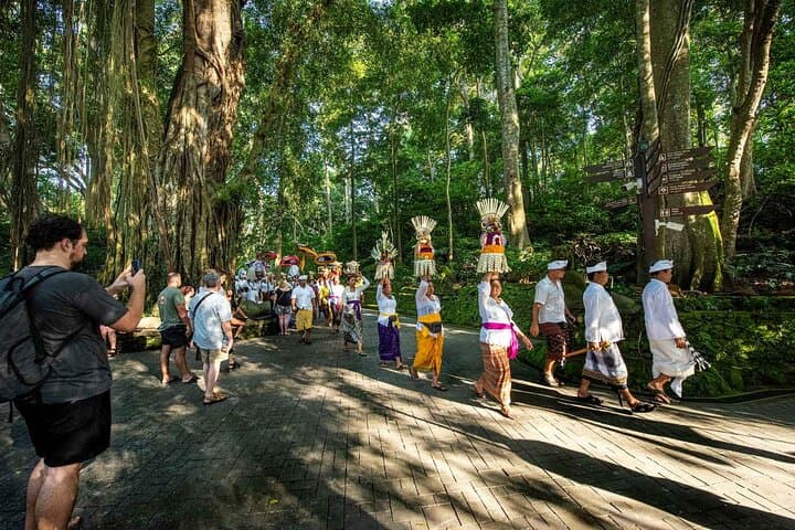 Ubud Highlights: Tegalalang Rice Terraces, Tirta Empul, Tegenungan & Monkey Forest Day Tour photo 2