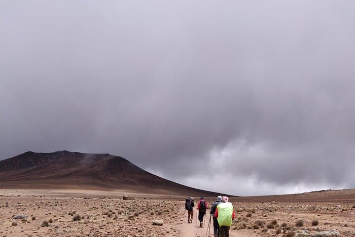 6-Day Marangu Route Kilimanjaro Trek: Hut-to-Hut Summit via Mandara & Horombo photo 4