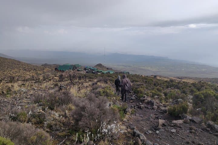 6-Day Marangu Route Kilimanjaro Trek: Hut-to-Hut Summit via Mandara & Horombo photo 5