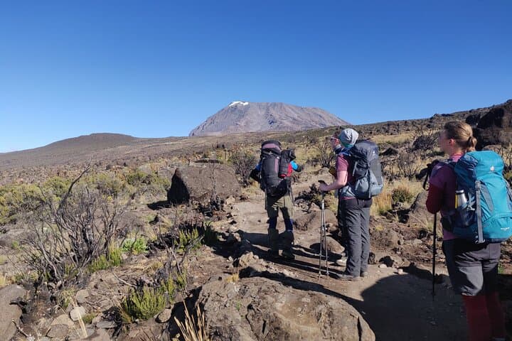 6-Day Marangu Route Kilimanjaro Trek: Hut-to-Hut Summit via Mandara & Horombo photo 6