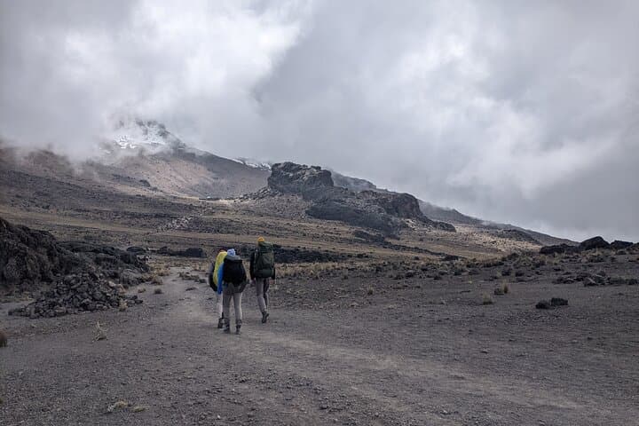 8-Day Lemosho Route Kilimanjaro Trek to Uhuru Peak photo 2