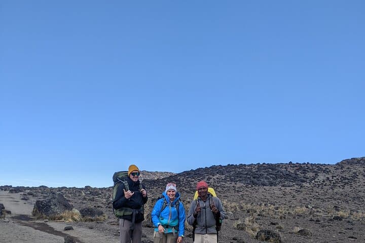 8-Day Lemosho Route Kilimanjaro Trek to Uhuru Peak photo 3