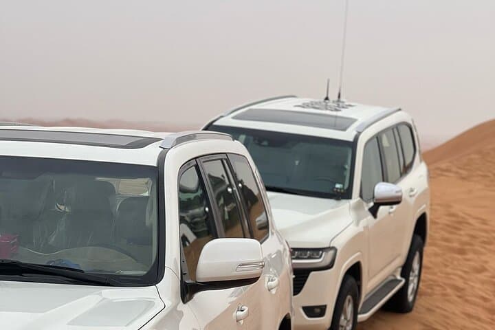 VIP Red Dune Safari Dubai — Sunset Dune Bashing, Camel Ride & BBQ Dinner photo 6