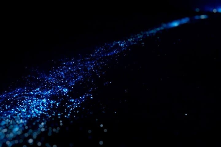 Huatulco Bioluminescence Beach Swim: Nighttime Plankton Glow Tour