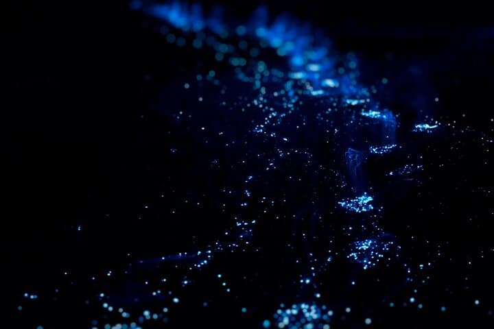Huatulco Bioluminescence Beach Swim: Nighttime Plankton Glow Tour photo 2