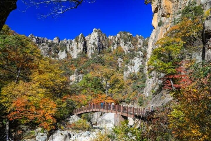 Sokcho Excursion: Goseong DMZ & Seoraksan Jujeongol Day Tour photo 5