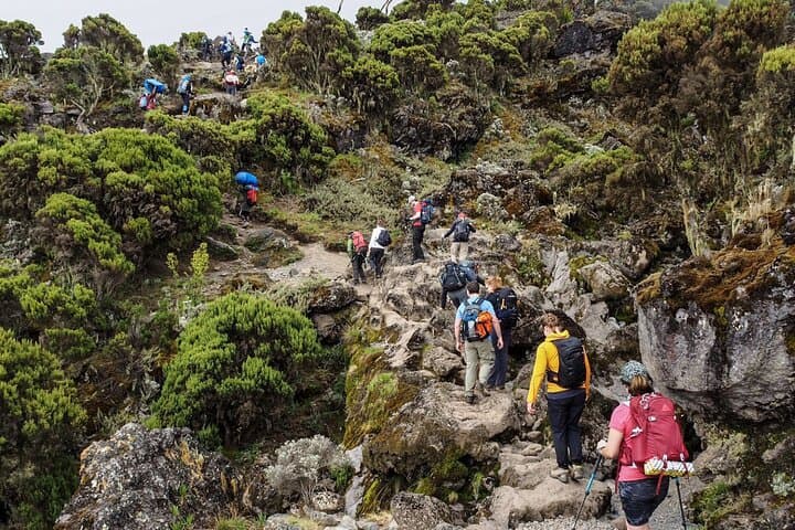 3-Day Mount Meru Summit Trek: Private Hiking Tour from Arusha photo 5