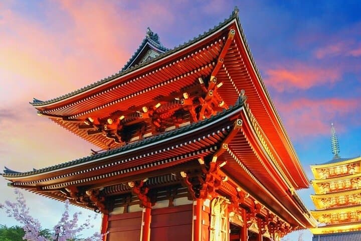 Customize Your Day: Tokyo Full-Day Private City Tour with Expert Driver
