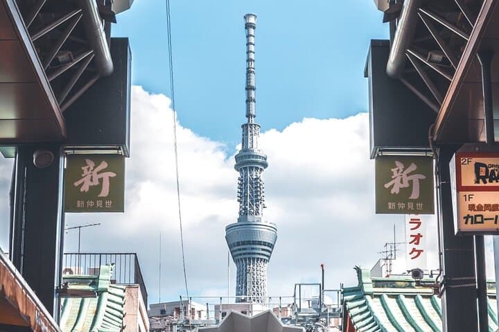 Customize Your Day: Tokyo Full-Day Private City Tour with Expert Driver photo 2