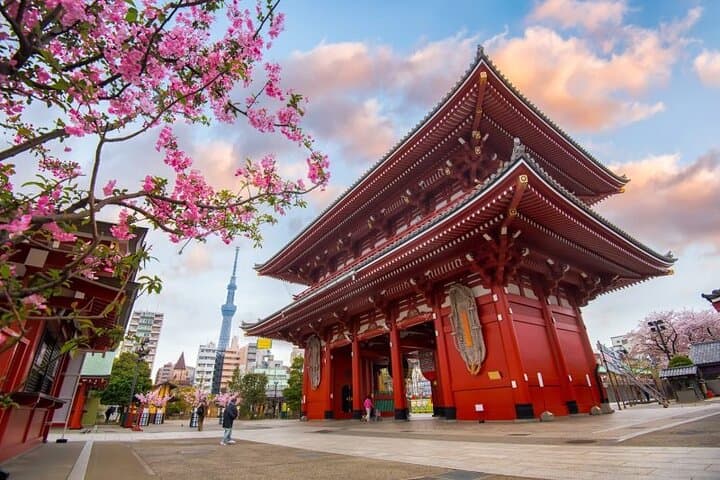 Customize Your Day: Tokyo Full-Day Private City Tour with Expert Driver photo 3