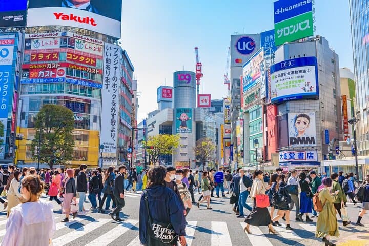Customize Your Day: Tokyo Full-Day Private City Tour with Expert Driver photo 6