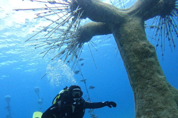 Musan Scuba Diving Private Adventure at Ayia Napa — Learn to Dive Among 90 Underwater Statuary photo 3